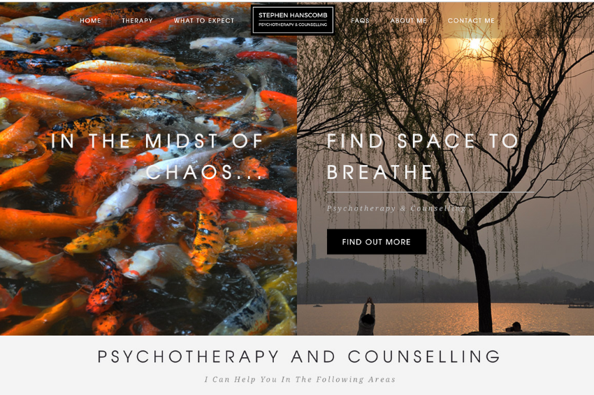 Stephen Hanscomb Psychotherapist & Counsellor
