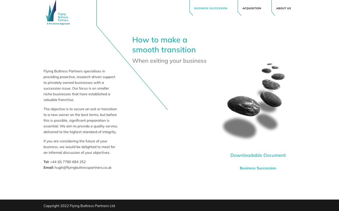 Website Design for Management Consultancy