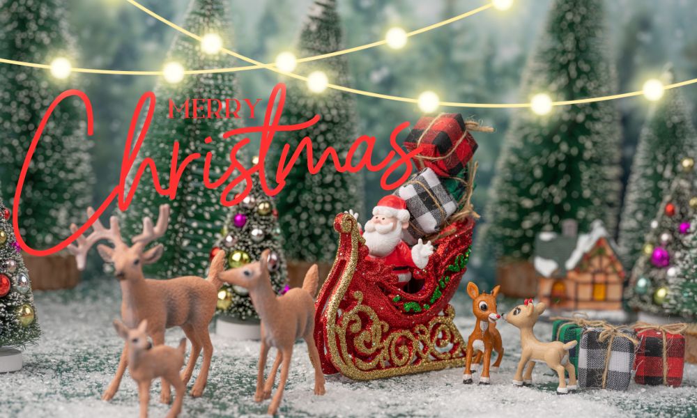 Merry Christmas and Happy New Year